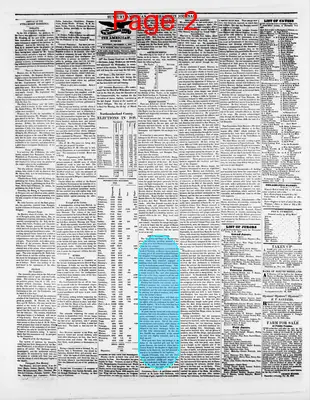 Page thumbnail for Sunbury American