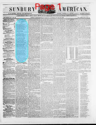 Page thumbnail for Sunbury American