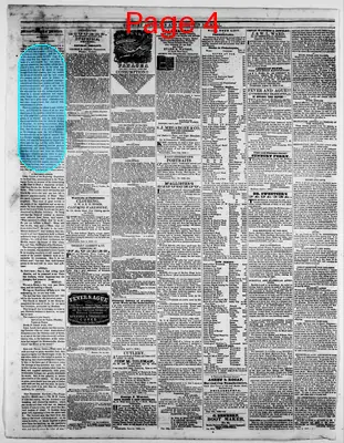 Page thumbnail for Sunbury American
