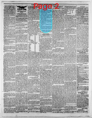 Page thumbnail for Sunbury American