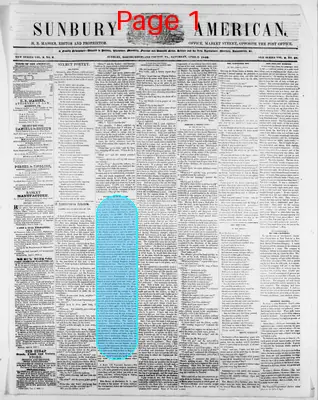 Page thumbnail for Sunbury American
