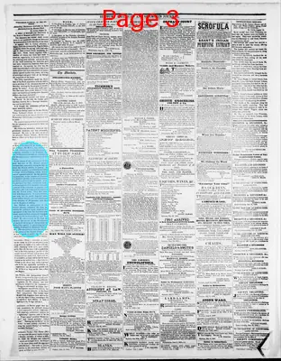 Page thumbnail for Sunbury American