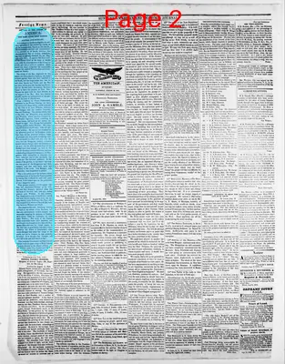 Page thumbnail for Sunbury American