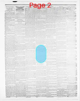 Page thumbnail for Sunbury American