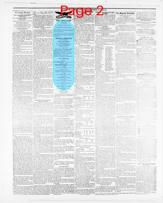 Page thumbnail for Sunbury American