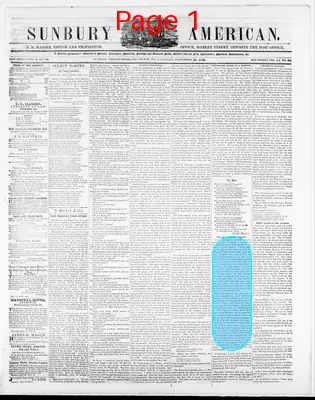 Page thumbnail for Sunbury American