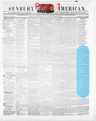 Page thumbnail for Sunbury American