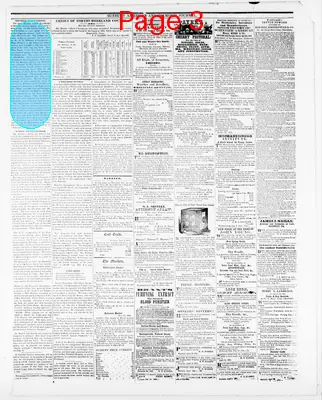 Page thumbnail for Sunbury American