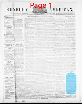 Page thumbnail for Sunbury American