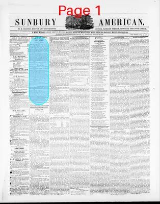 Page thumbnail for Sunbury American