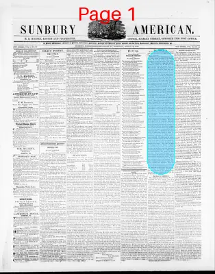 Page thumbnail for Sunbury American
