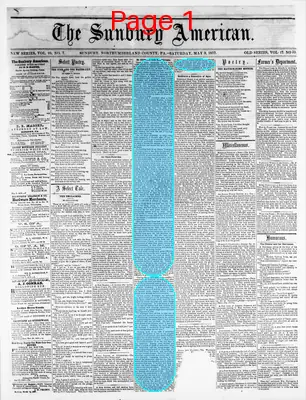 Page thumbnail for Sunbury American