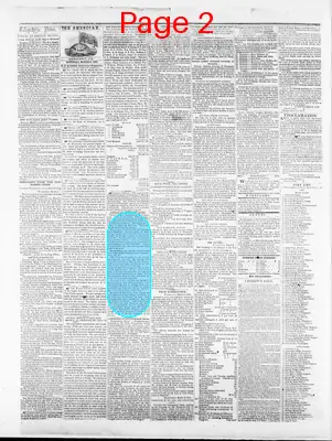 Page thumbnail for Sunbury American