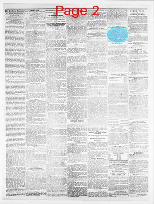 Page thumbnail for Sunbury American