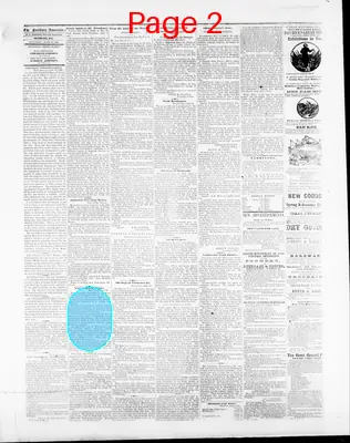 Page thumbnail for Sunbury American