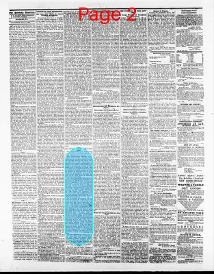 Page thumbnail for Sunbury American