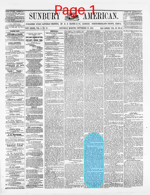 Page thumbnail for Sunbury American
