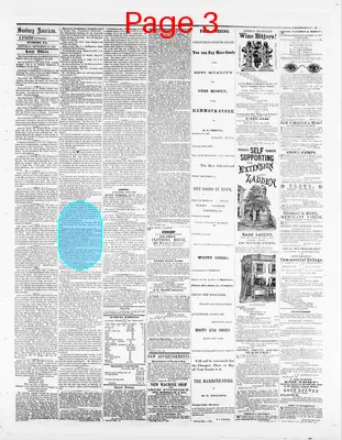 Page thumbnail for Sunbury American