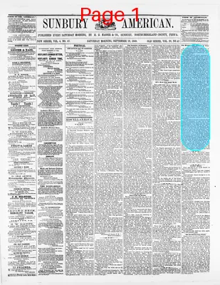 Page thumbnail for Sunbury American