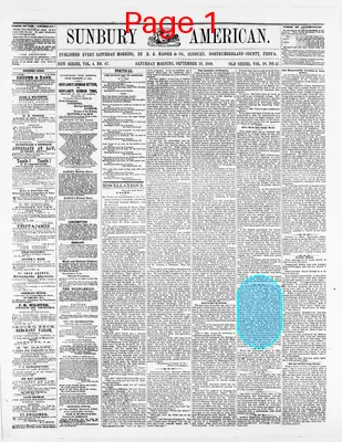 Page thumbnail for Sunbury American