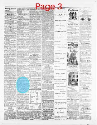 Page thumbnail for Sunbury American