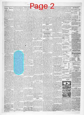 Page thumbnail for Sunbury American