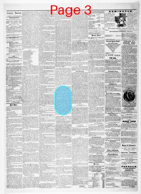 Page thumbnail for Sunbury American