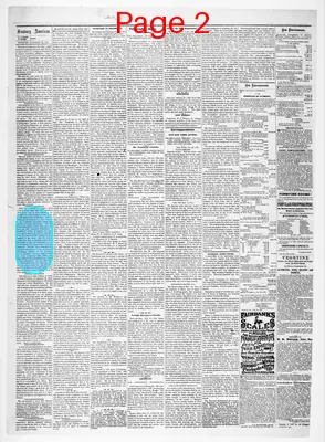 Page thumbnail for Sunbury American