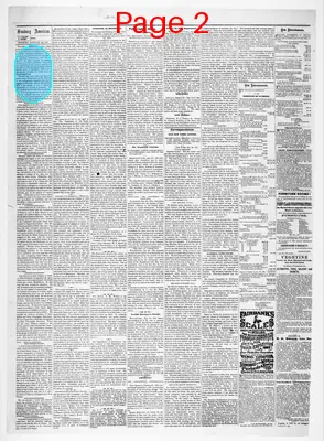 Page thumbnail for Sunbury American