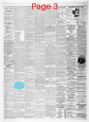 Page thumbnail for Sunbury American