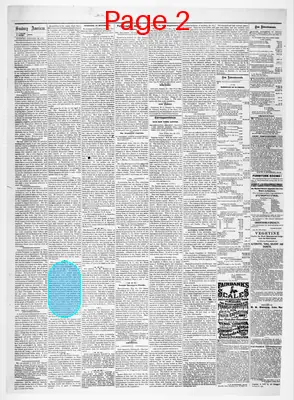 Page thumbnail for Sunbury American