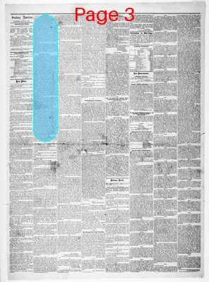 Page thumbnail for Sunbury American