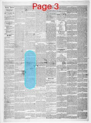 Page thumbnail for Sunbury American