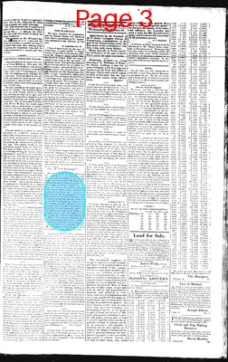 Page thumbnail for The Hillsborough Recorder