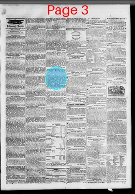 Page thumbnail for The Hillsborough Recorder