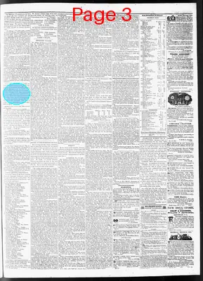 Page thumbnail for Wilmington Journal