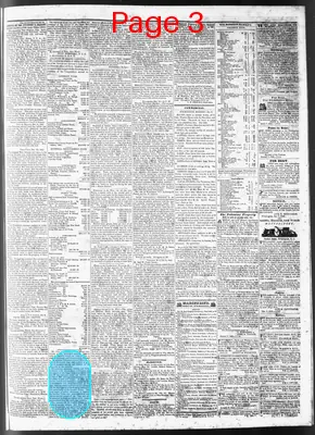 Page thumbnail for Wilmington Journal