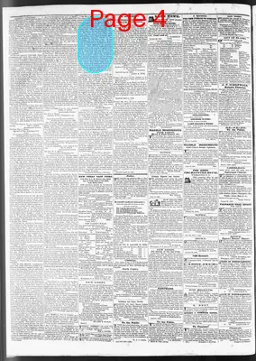 Page thumbnail for Wilmington Journal