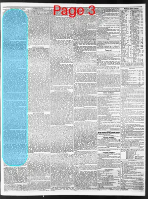 Page thumbnail for Wilmington Journal