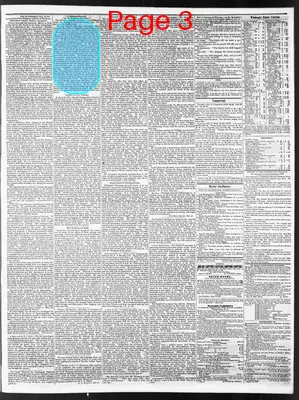 Page thumbnail for Wilmington Journal