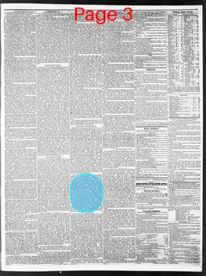 Page thumbnail for Wilmington Journal