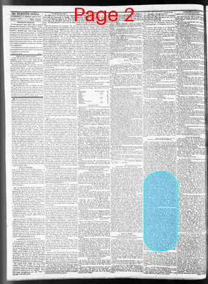 Page thumbnail for Wilmington Journal
