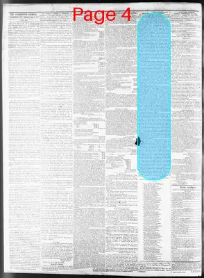 Page thumbnail for Wilmington Journal