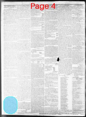 Page thumbnail for Wilmington Journal