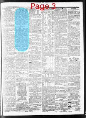 Page thumbnail for Wilmington Journal