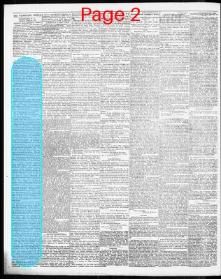 Page thumbnail for Wilmington Journal