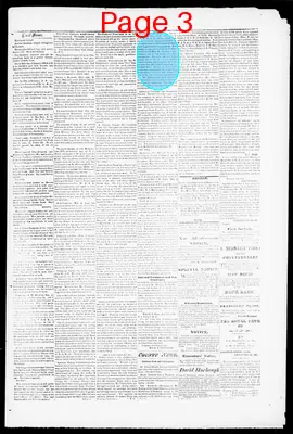 Page thumbnail for Catoctin Clarion
