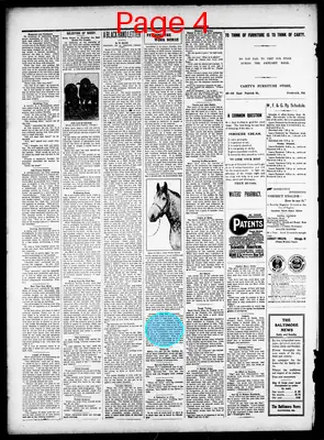 Page thumbnail for Catoctin Clarion