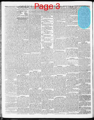 Page thumbnail for Maryland Free Press
