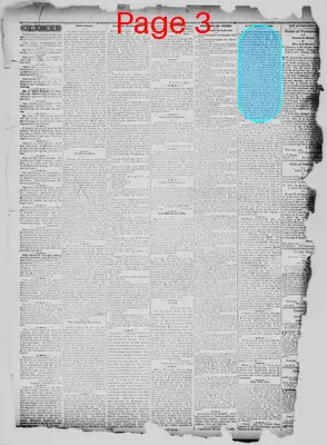Page thumbnail for Democratic Messenger